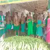 திமுக தேர்தல் அறிக்கையில் விவசாயிகளுக்கு கொடுத்த வாக்குறுதியை எதையும் நிறைவேற்றவில்லை - அய்யாக்கண்ணு குற்றச்சாட்டு - ayyakannu accuses dmk of not fulfilling any of its promises to farmers in its election manifesto - Samayam Tamil