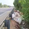 பாலத்தின் இருபுறங்களிலும் மூட்டை மூட்டையாய் இறைச்சி மற்றும் எண்ணெய் கழிவுகள்-திருச்சியில் கண்டுகொள்ளாத ஊராட்சி மன்ற தலைவர்! - meat and oil waste piled up on both sides of the bridge the panchayat council president didnt see it in trichy - Samayam Tamil