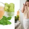 Nellikai Tea Benefits : நெல்லிக்காய் டீ வேகமா எடை குறையும், வெள்ளை ...