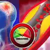 Cholesterol Level Chart : நல்ல கொழுப்பு.. கெட்ட கொழுப்பு யாருக்கு ...