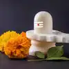 favourite leaves for lord shiva : மகாசிவராத்திரி : வில்வத்துடன் இந்த 9 ...