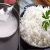 Cooker Rice Vs Bolied Rice : குக்கர் சாதமா.. வடித்த சாதமா.. எப்படி ...