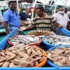 Kasimedu Market,மீன்பிடி தடைகாலம்: காசிமேடு மார்க்கெட்டில் மீன் வரத்து ...