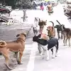 stray dog census work in chennai : சென்னை மாநகராட்சி: ஜூலை 10 தெரு ...
