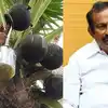 Minister Muthusamy Reply Tasmac Shops Reduce An Toddy Shop Open :  டாஸ்மாக் கடைதான் குறைக்கமாட்டீங்க.. கள்ளுக் கடைய திறப்பீங்களா? - அமைச்சர் சொன்ன அந்த பதில்!