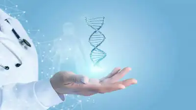 Disappearing Y Chromosome Meaning,Y chromosome : மறைந்து வரும் y குரோமோசோம்கள்.. ஆண் இனம் அழியுமா.. ஆய்வு சொல்வது என்ன? - y chromosome is disappearing how does it affect men and women - Samayam Tamil