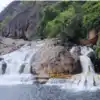 மணிமுத்தாறு அருவியில் ஆர்ப்பரிக்கும் தண்ணீர்.... சுற்றுலா பயணிகள் ...