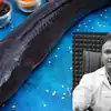 Amazing Health Benefits Of Snakehead Murrel Fish,வாரம் 2-3 முறை விரால் ...