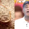 Health Risk Of Brown Rice And Proper Ways To Cook : பிரௌன் ரைஸ் இப்படி ...