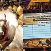 மதுரை : பாலமேட்டில் இன்று ஜல்லிக்கட்டு தொடக்கம் – மாட்டுப் பொங்கல் கொண்டாட்டம் களைகட்டியது 
