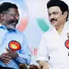 மு.க. ஸ்டாலினின் பெருந்தன்மை.. தவெகவுக்கு ஆதரவு அளித்ததை தொடர்ந்து திருமாவளவன் சொன்ன விஷயம் 