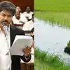கூட்டுறவு வங்கிகளில் பயிர்க்கடன் தள்ளுபடி.. முதலமைச்சர் விஜய் வெளியிட்ட அறிவிப்பு - யாருக்கு பொருந்தும்? 