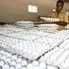முட்டை விலை உயர்வுக்கு இதுதான் காரணமா - இன்றைய சந்தை விலையை தெரிஞ்சுக்கோங்க 