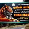 சத்தியமங்கலம் புலிகள் சரணாலயம்: 42 சட்டவிரோத ரிசார்ட்டுகளுக்கு சீல்! ஆட்சியர் அதிரடி நடவடிக்கை 