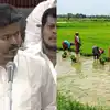 நெல் ஊக்கத்தொகை உயர்வு.. தமிழக விவசாயிகளுக்கு முதல்வர் விஜய் வெளியிட்ட முக்கிய -அறிவிப்பு முழு விவரம்