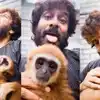 குரங்கு வீடியோ பதிவிட்டு சர்ச்சையில் சிக்கிய நடிகர் விக்ரம்: ‘நேரில் வந்து Details சொல்லணும்” கெடு விதித்த வனத்துறை