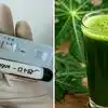 Papaya leaf for platelet count: பப்பாளி இலை ஜூஸ் பிளேட்லெட்ஸ் அதிகரிக்குமா? டெங்கு சிகிச்சை குறித்து மருத்துவர் சொல்லும் உண்மை