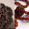 rudraksha broken spiritual meaning உங்களின் ருத்ராட்சம் உடைந்து விட்டதா? அதன் ஆன்மீக அர்த்தம் இது தான்