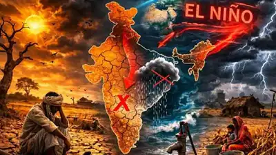உலகளாவிய உணவுத் தட்டுப்பாட்டிற்கு மூன்று முக்கிய காரணங்கள்