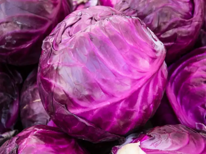 Cabbage Health Benefits,முட்டைகோஸே பிடிக்காதா?... இத படிச்சதுக்கு பிறகு ...