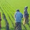 PMGKY,பொருளாதாரச் சலுகை: 42 கோடிப் பேருக்கு நிதியுதவி! - 42 crore poor ...