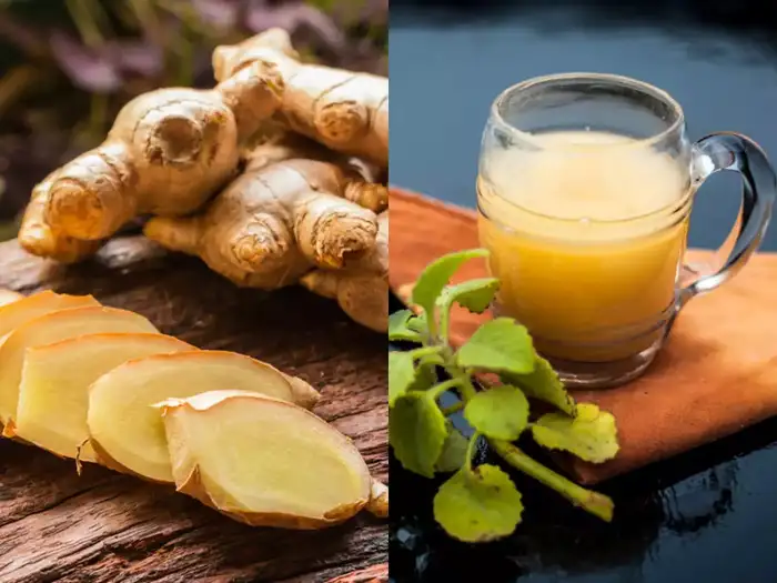 Inji Tea Nanmaigal,அழற்சி முதல் மாதவிடாய் வலி வரை எல்லாத்துக்கும் ...