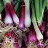 Spring Onion Benefits,இதய கோளாறுகள், இதய அடைப்புன்னு வராம தடுக்கணுமா ...