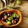 olive-health-benefits-in-tamil-olives-5