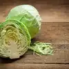 Cabbage Benefits,முட்டைக்கோஸ் வேகவைத்த நீரை குடித்தால் உடலில் இத்தனை ...