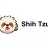 Shih Tzu Coin,கிரிப்டோ லேட்டஸ்ட் அப்டேட்: டாப் லிஸ்ட்டில் ஷி சூ காயின்! -  cryptocurrency price today shih tzu coin gained over 2.6 lakh percent -  Samayam Tamil