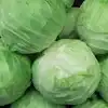 Cabbage Beneifts,முட்டைகோஸ் வேகவைத்த நீரை தினம் குடித்தால் உடம்பில் ...
