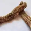 Benefits Of Vasambu,வசம்புவை எப்படி எல்லாம் பயன்படுத்தலாம்.. சித்த ...