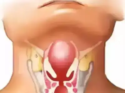 Porno video: Keksa qaynona uxlab yotgan kuyoviga kirib, uning tik turgan jinsiy olatini ko‘rdi.