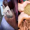 Ration Card Update,ரேஷன் கார்டு இருக்கா? உடனே இந்த வேலைய முடிங்க! - how ...