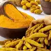 Modakurichi Turmeric Centre,ஈரோடு: மொடக்குறிச்சிக்கு இப்படி ஒரு ...