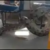 Viral Snake Video,Viral Snake Video: பள்ளிவாகனத்தில் பிடிபட்ட Python ...