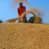 Paddy Farmers,நெல் விவசாயிகளுக்கு வந்த நல்ல செய்தி.. அதிகரிக்கும் ...