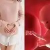 1st Trimester Of Pregnancy,First Trimester Precautions: கர்ப்பமான முதல் ...