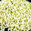 Mallipoo Price,மல்லிப்பூ விலை 3000 ரூபாயாக உயர்வு.. முகூர்த்த நாளில் ...