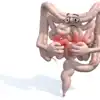 Reasons For Stomach Sounds,வயிறு அடிக்கடி சத்தம் போடுதா? அது பசினு ...