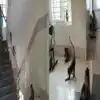 Monkey Atrocities In Attur Govt Hospital,குரங்குகள் கட்டுப்பாட்டில் ...