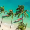 Goa Hidden Beaches,ಗೋವಾದ ಚೀಪ್‌ ಅಂಡ್‌ ಹಿಡನ್‌ ಬೀಚ್‌ಗಳಿವು…ಮುಂದಿನ ಬಾರಿ ...