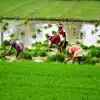 ಹಾಸನ ಜಿಲ್ಲೆಯಲ್ಲಿ ಭತ್ತ ನಾಟಿಗೆ ಅನ್ನದಾತ ಹಿಂದೇಟು - farmers who do not mind ...