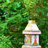 Tulsi Benefits: ಪ್ರತಿನಿತ್ಯ ಏನೇ ಮಾಡದಿದ್ದರೂ ತುಳಸಿಗೆ ಪ್ರದಕ್ಷಿಣೆ ಹಾಕಿ ...