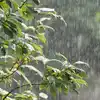 Weather Today: ದಕ್ಷಿಣ ಒಳನಾಡು-ಕರಾವಳಿಯ ಕೆಲವು ಕಡೆ ಹಗುರ ಮಳೆ ಸಾಧ್ಯತೆ - today ...