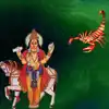 Shukra Gochar: ಜನವರಿ 18 ರವರೆಗೆ ಇವರು ಮುಟ್ಟಿದೆಲ್ಲಾ ಬಂಗಾರ..ಶುಕ್ರನಿಂದ ಬಂಪರ್ ...