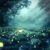 Breathtaking Night Views: ಕತ್ತಲೆಯಲ್ಲಿ ಹೊಳೆಯುವ ಅತ್ಯಾಕರ್ಷಕ ಭಾರತದ ಈ ...