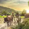 Beautiful Villages Near Bangalore,ಕರ್ನಾಟಕದ ಅತ್ಯಂತ ಸುಂದರ ಹಳ್ಳಿಗಳು ಮತ್ತು ...
