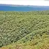 VISL Proposal To Cut Trees In Sandur'r Ramgad,ಬಳ್ಳಾರಿಯಲ್ಲಿ ಮತ್ತೆ ...