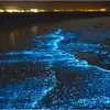 Glowing Beaches,ಅಚ್ಚರಿ: ರಾತ್ರಿಯ ಸಮಯದಲ್ಲಿ ಮಿಂಚಿನಂತೆ ಹೊಳೆಯುವ ಕಡಲತೀರಗಳು ...